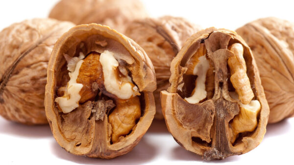 AUW: opeens ging het licht uit voor deze inline skater