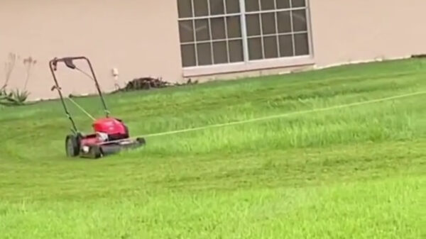 Als je geen zin hebt in grasmaaien moet je slim zijn