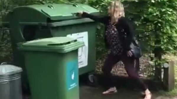 Als eekhoorns in de aanval gaan