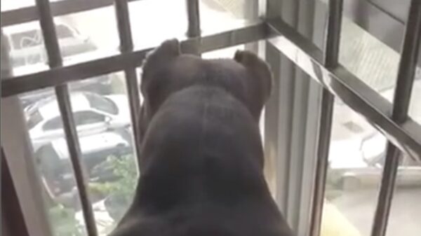 Als je door je beste vriend genaaid wordt