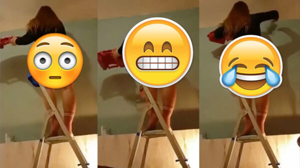 Die veel te dure schilder is haar geld meer dan waard