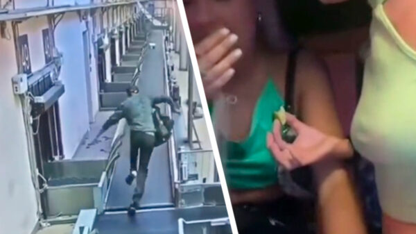 Alle fails van week 31 op een rij