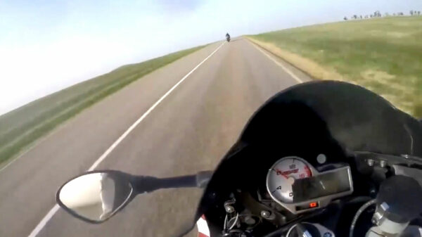 Motorrijder kan niet op tijd remmen voor een kudde overstekende schapen