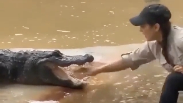 Jongedame demonstreert even het jagersinstinct van een krokodil