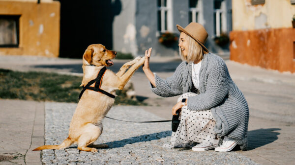 R. Kelly zet zijn charmes in om een nieuwe vriendin te regelen