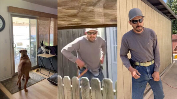 Hardwerkende tuinman heeft momentje voor zichzelf maar wordt gestoord door bemoeizuchtige bewoonster