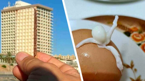 Je moet echt effe wat beter kijken, want in deze galery is niets wat het lijkt