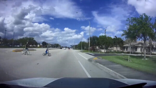 Automobilist met razendsnelle reflexen weet overstekende koter nèt te ontwijken