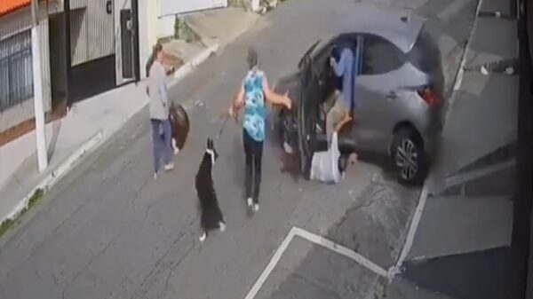 Je verzint het niet: welkom in de straat van de mentaal uitgedaagden