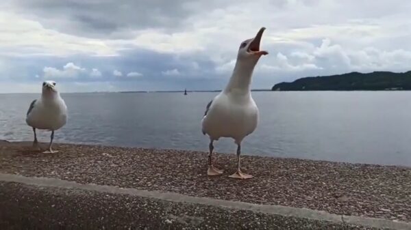 Lullig: keihard door je ouders worden uitgelachen