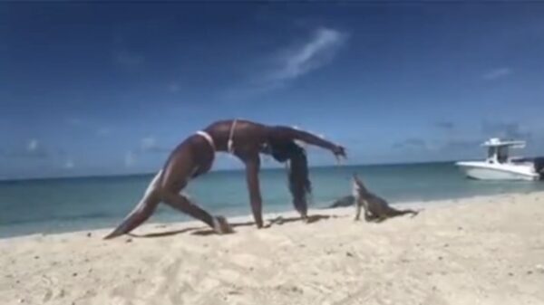 Darwin-nominatie van de dag: in een gek standje een varaan voeren