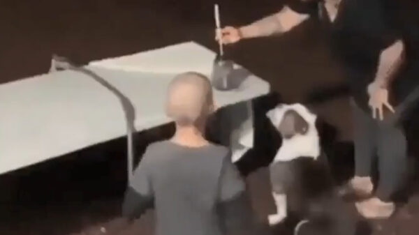 Enthousiaste hond wordt gelanceerd door een vuurpijl