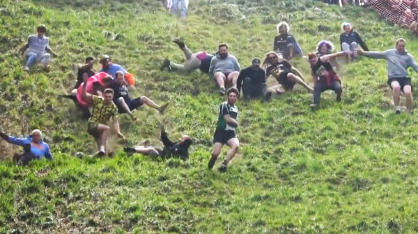 Het jaarlijkse Cheese Rolling in Gloucestershire staat garant voor vallende idioten