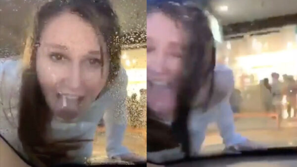 De zomer komt eraan en dat betekent ongedierte op je voorruit