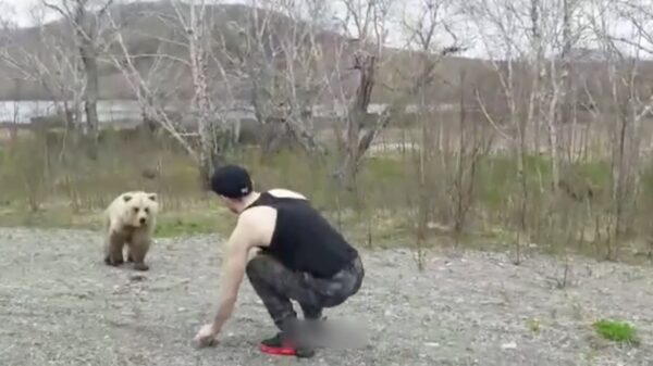 In Rusland stap je rustig uit je auto om een schattig beertje te voeren