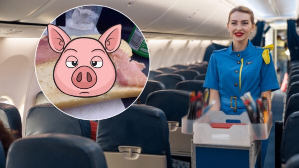 Ryanair durft €5,50 te vragen voor het meest sneue broodje spek aller tijden