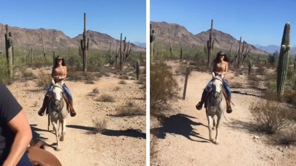Ankie heeft moeite met haar bagage tijdens wild ritje op d'r hobbelpaard