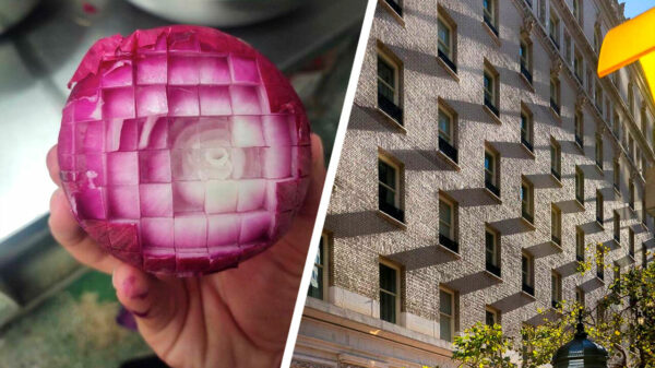 Een dump van 20 heerlijke OCD-pics omdat het weekend is