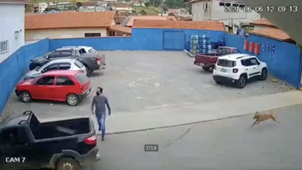 Keurig geparkeerd, maar hou wel altijd in de gaten of er een hond van links komt