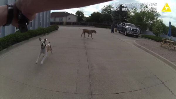 Sick: Amerikaanse agent schiet speelse hond dood en geeft familie de schuld