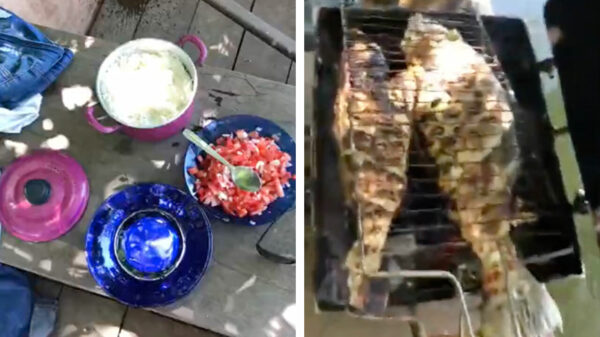 Misschien is barbecueën op een boot toch niet zo'n goed idee