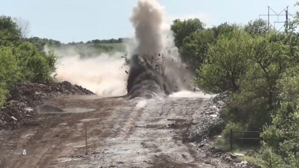 Hardnekkig mollenprobleem verhelp je gemakkelijk met een lading explosieven!