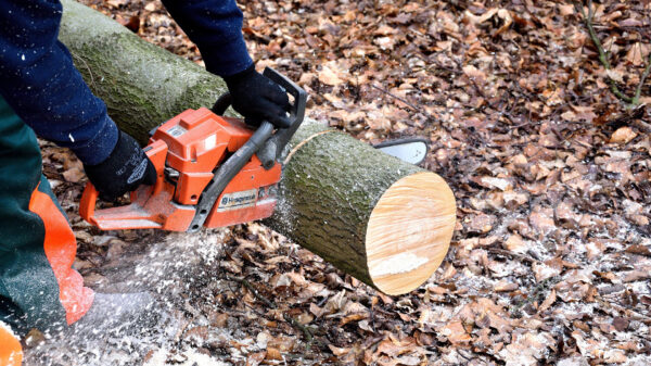 Soms zit echt ALLES tegen op het werk en dat is behoorlijk F...