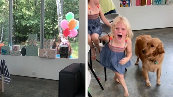 Bigfoot inhuren voor de verjaardag van je dochter is GEEN goed idee