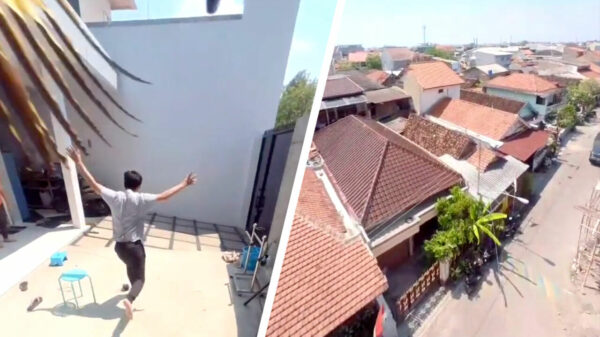 Als een papegaai er met je camera vandoor gaat