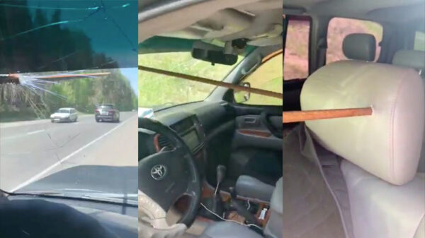 Geluksvogel uit Rusland doet vandaag niet aan Hemelvaart