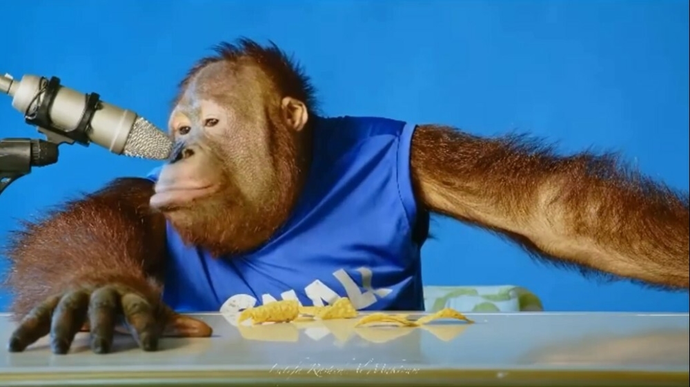 Smul(p)aapjes werken wat versnaperingen naar binnen tijdens ASMR-video