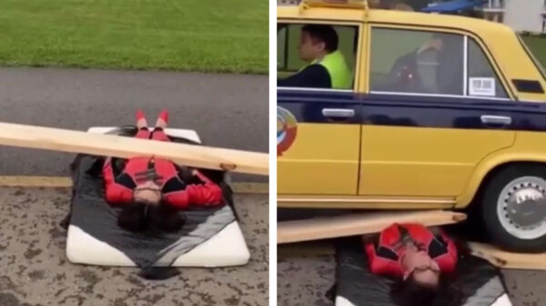 Stuntmevrouw blijkt niet de meest stevige plank ooit te hebben uitgezocht