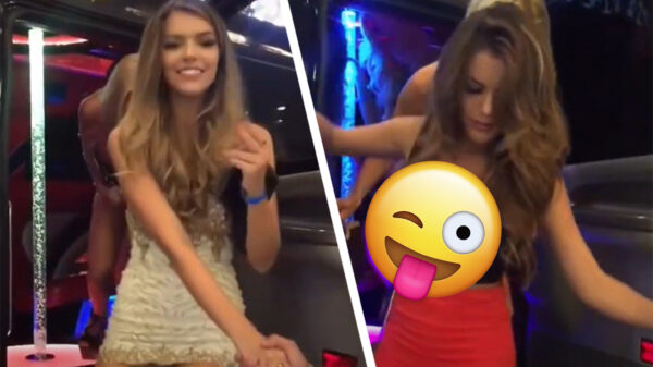 Je moet kiezen: wie van deze feestbeesten zou je een drankje aanbieden?