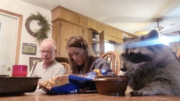 's Ochtends samen ontbijten kan best gezellig zijn!