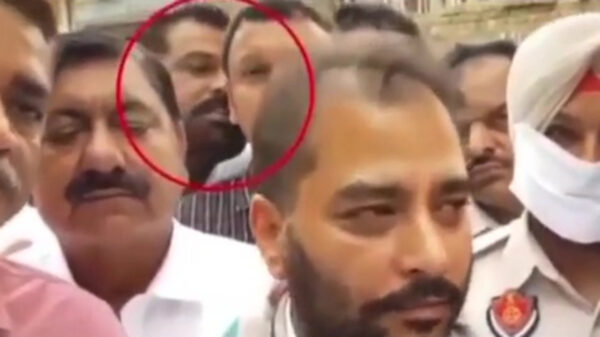 Viespeuk wil alleen maar even proeven