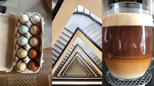 32 nieuwe voorbeelden van heerlijke perfectie!