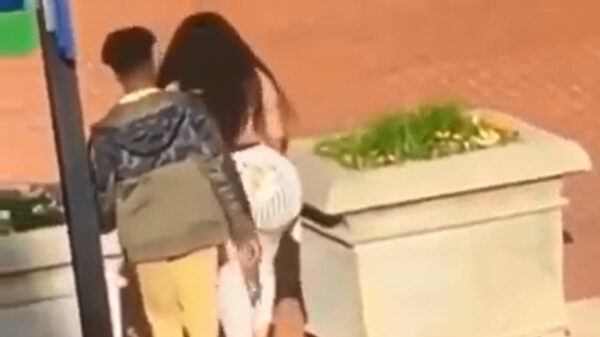 Vogelspotter kan de omvang van dit zeldzaam exemplaar niet geloven