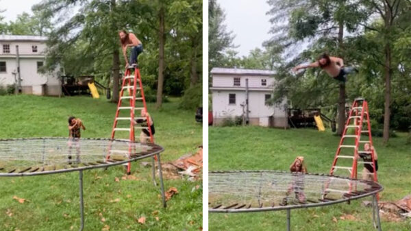 Buitenspelen voor masochisten: een trampoline van prikkeldraad