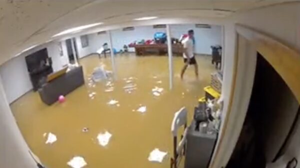 Wat je niet helemaal verwacht als je je ondergelopen kelder komt inspecteren..