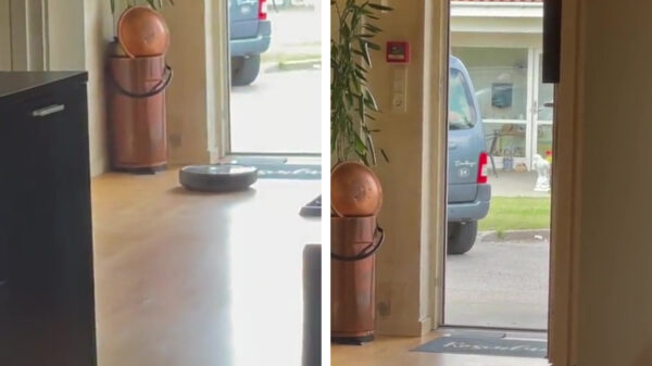 Waarom je altijd goed voor je robotstofzuiger moet zorgen