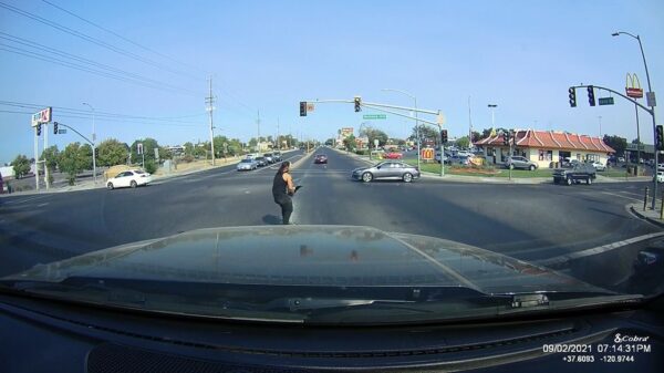 Skateboarder met hond wordt aangereden als hij door rood jankt