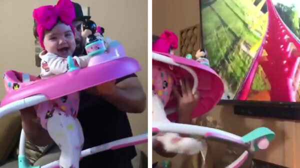 Vader van het jaar laat zijn koter kennis maken met de achtbaan