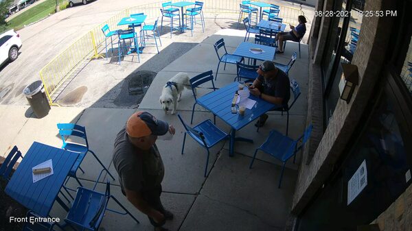 Leuk hè, je hond meenemen naar het terras