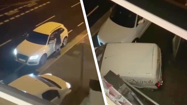 Duitse vrouw niet blij met haar pizza Hawaï en ramt bezorger