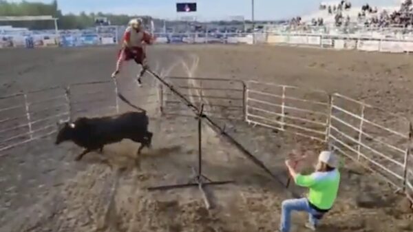 Waarom zou je ook niet een potje wipwappen met een linke stier erbij?