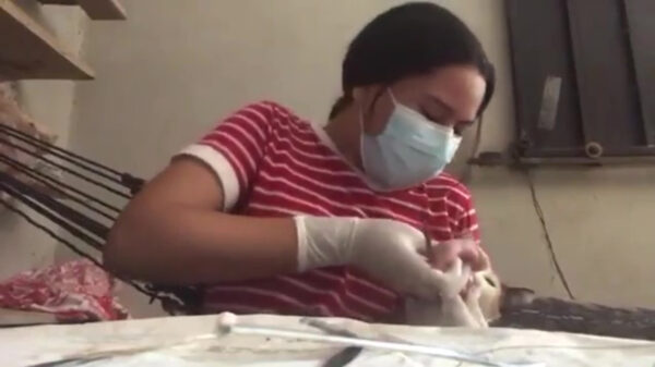 Hechtingen oefenen is verdomde lastig met een kat in huis