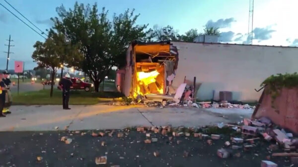 Vuilniswagen maakt klapper en ontdekt tegelijk illegale wietplantage