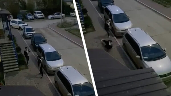 Een indrukkend tafereel: twee dronken, ruziënde Russen in het wild