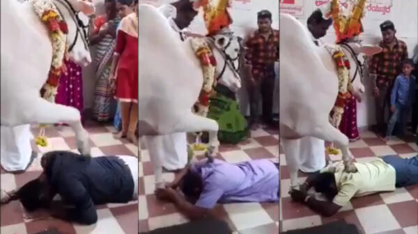 Ge zijt gezegend. Boe!