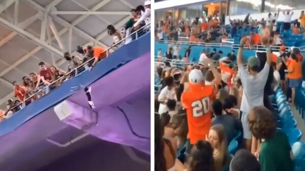 Vol stadion ziet hoe een bungelende kat wordt opgevangen door supporters